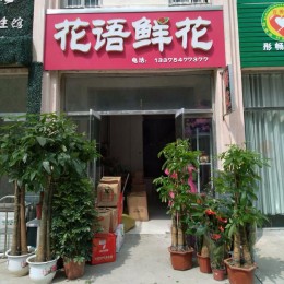 汶上花语鲜花，以花为媒，代您送花、替您赠言，用心呵护每一朵花...
